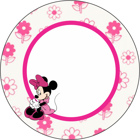 Minnie Rosa Floral Frame PNG