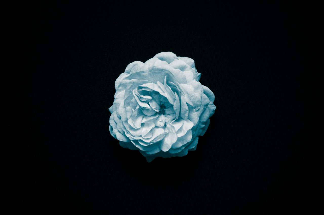 Mint Blue Dark Floral