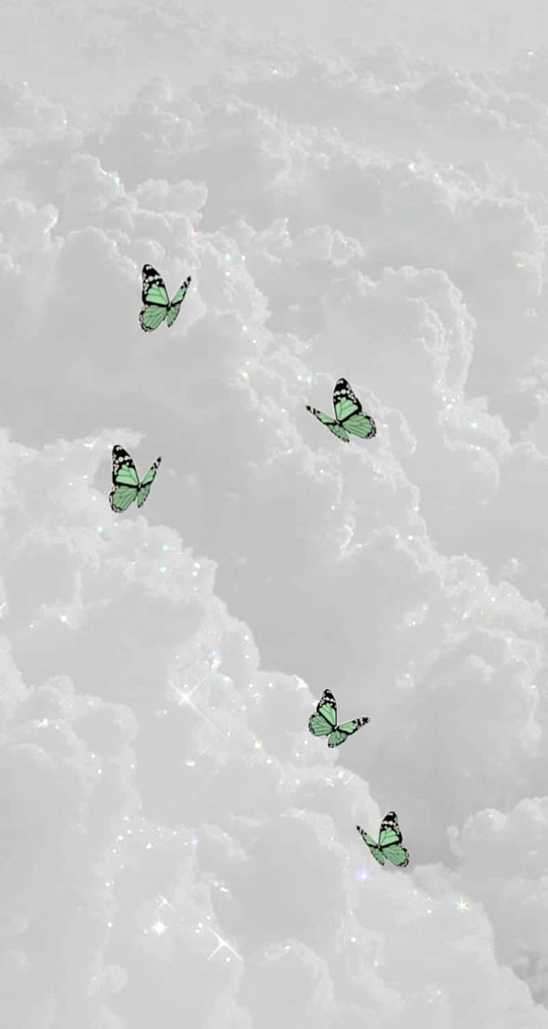 Mint Butterflies Cloudy Backdrop Wallpaper