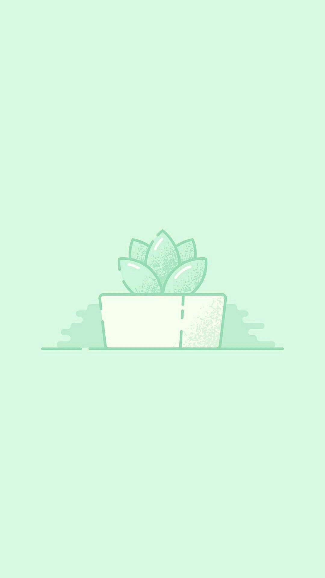 Mint Green Aesthetic Cactus Wallpaper