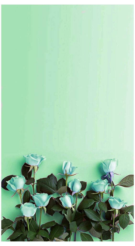 Mint Green Aesthetic Roses Wallpaper