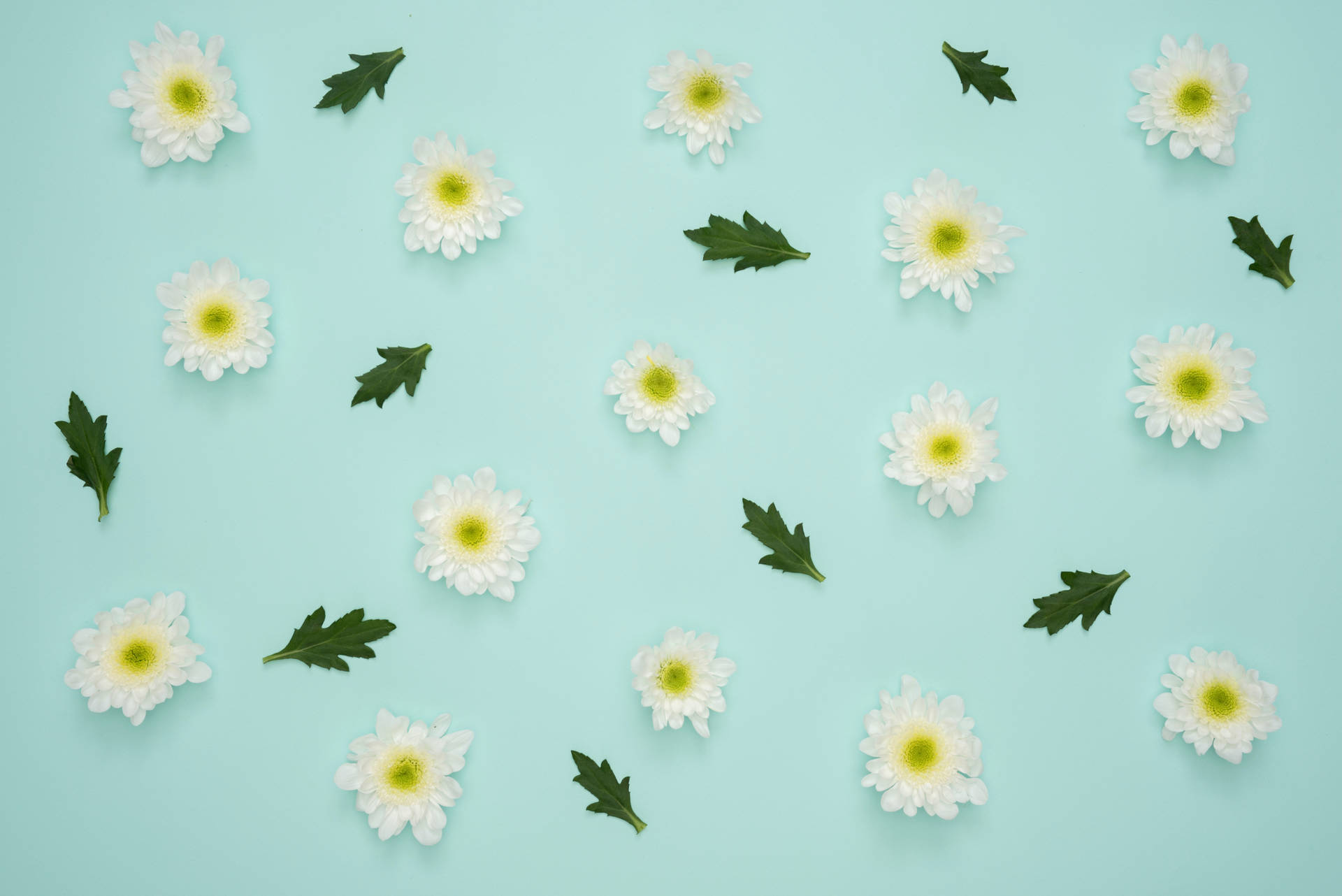 Mint Green Aesthetic Tiny Flowers Wallpaper