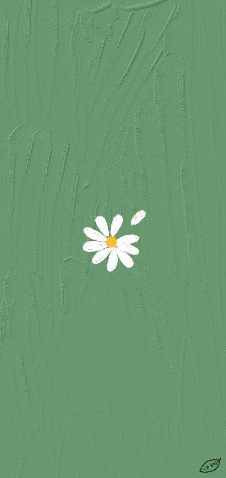 Estéticade Color Verde Menta Con Flores Blancas. Fondo de pantalla