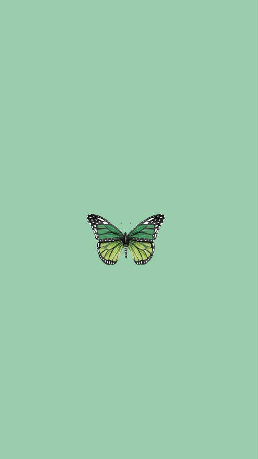 Mint Green Aesthetic Yellow Green Butterfly Wallpaper