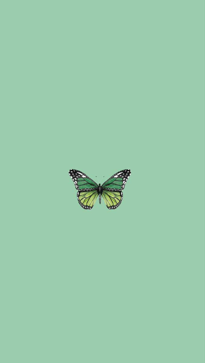 Mint Green Butterfly Wallpaper
