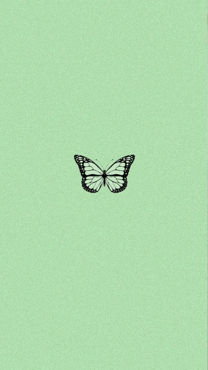 Sfondoper Iphone Verde Menta Con Farfalla Minimalista Sfondo
