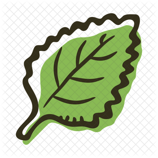 Mint Leaf Illustration PNG