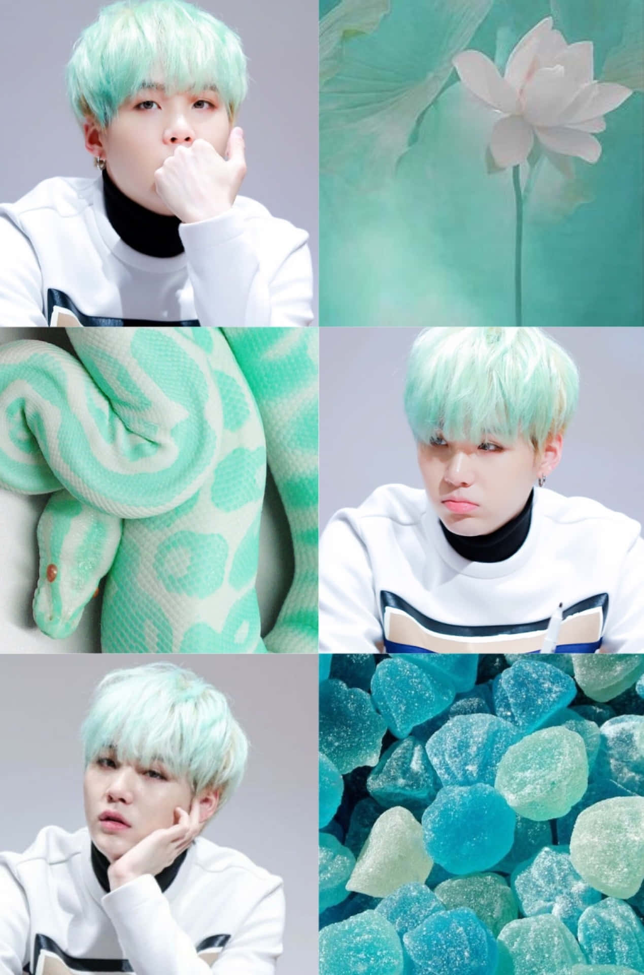 Minty_ Fresh_ Aesthetic_ Collage Wallpaper