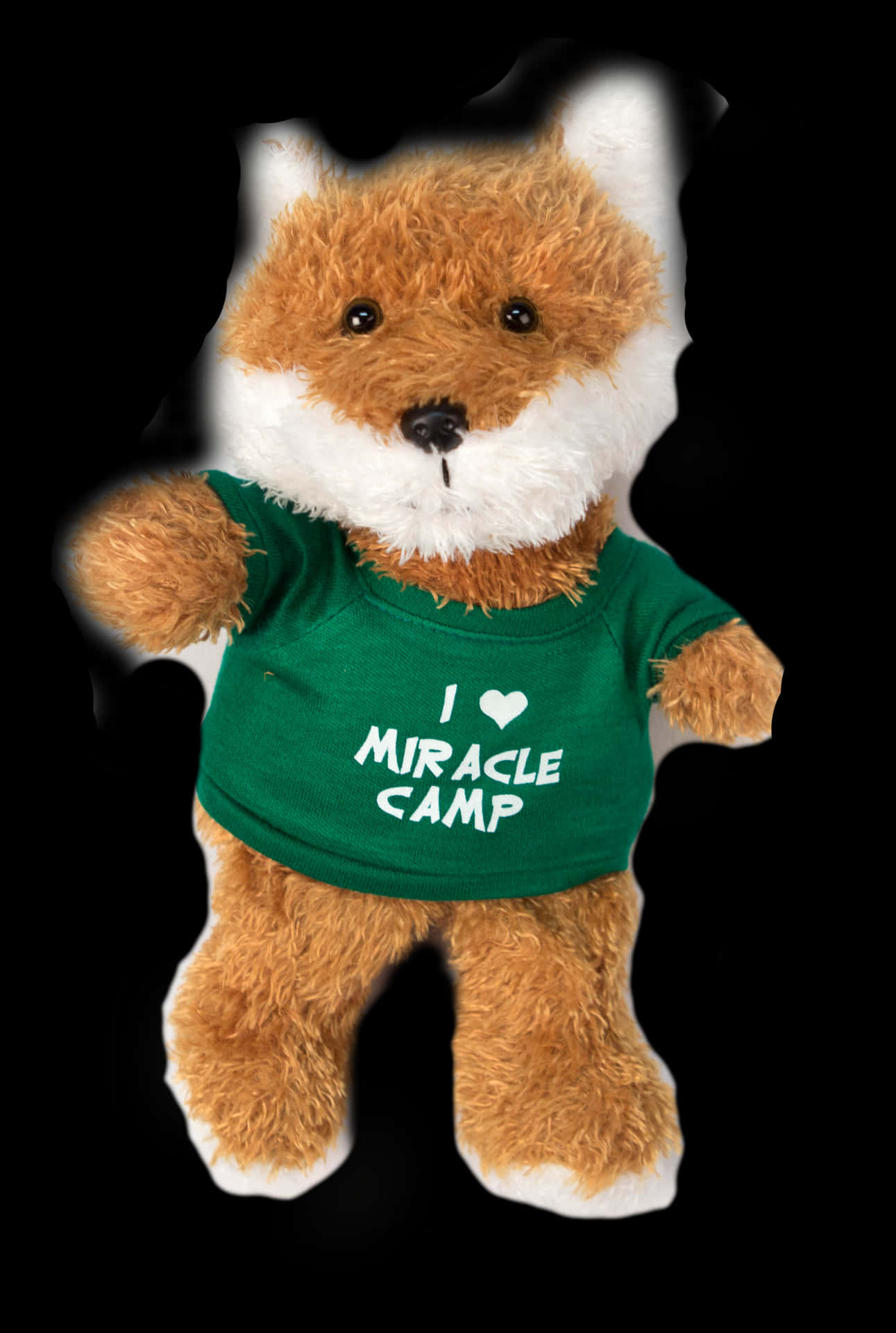 Miracle Camp Love Teddy Bear PNG