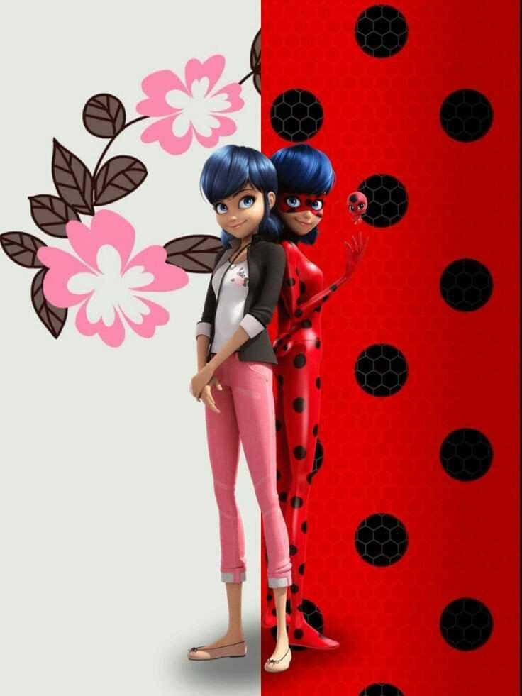 Download Miraculous Ladybug Background | Wallpapers.com