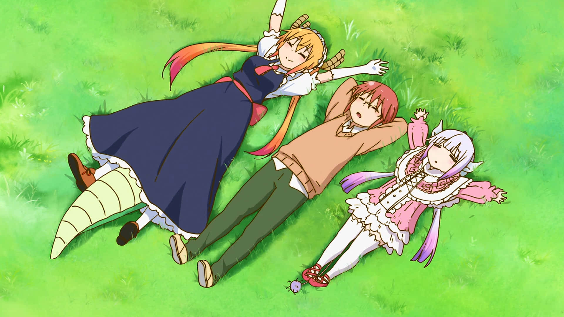 En gruppe anime-karakterer ligger på græsset Wallpaper
