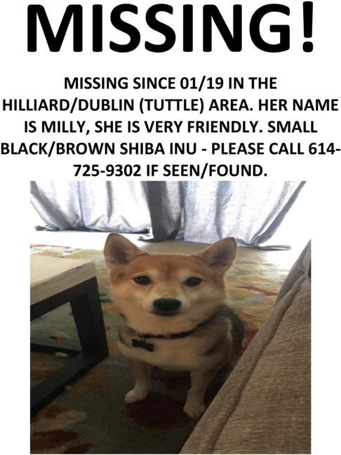 Missing Shiba Inu Milly Poster PNG