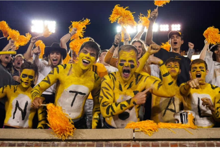 Missouri Tigers Fans Cheer During Game University Of Missouri Wallpaper
