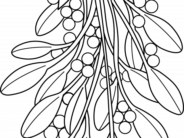 Mistletoe Illustration Black White PNG