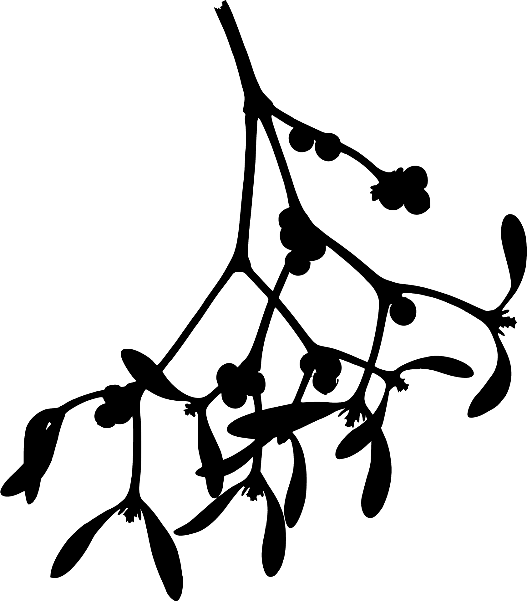 Mistletoe Silhouette Graphic PNG