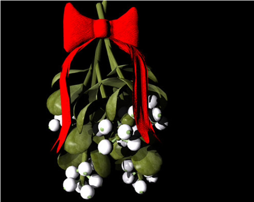 Mistletoe With Red Bow PNG