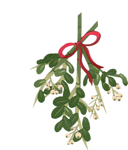 Mistletoe With Red Ribbon PNG