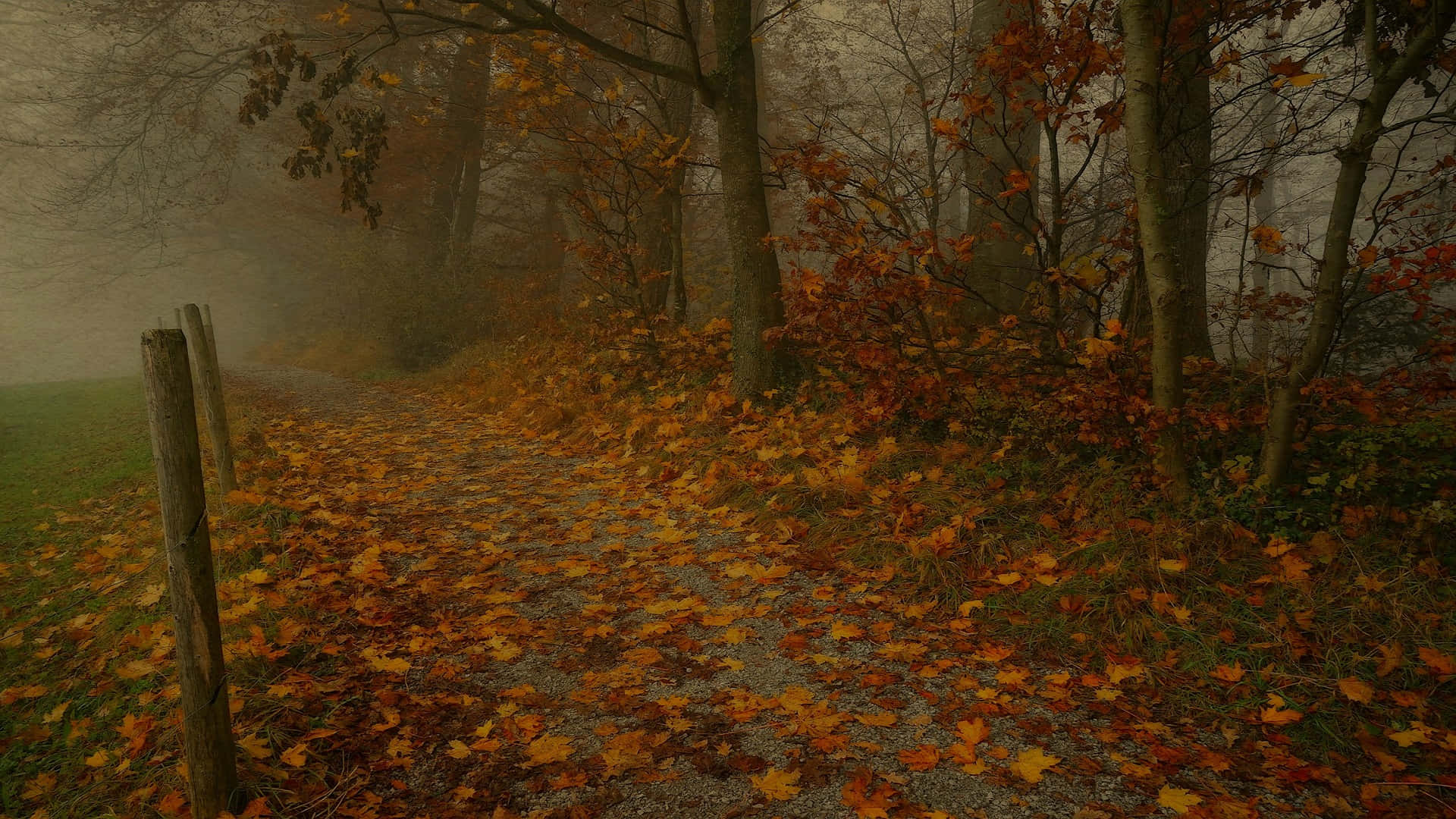 Misty Autumn Pathway.jpg Wallpaper