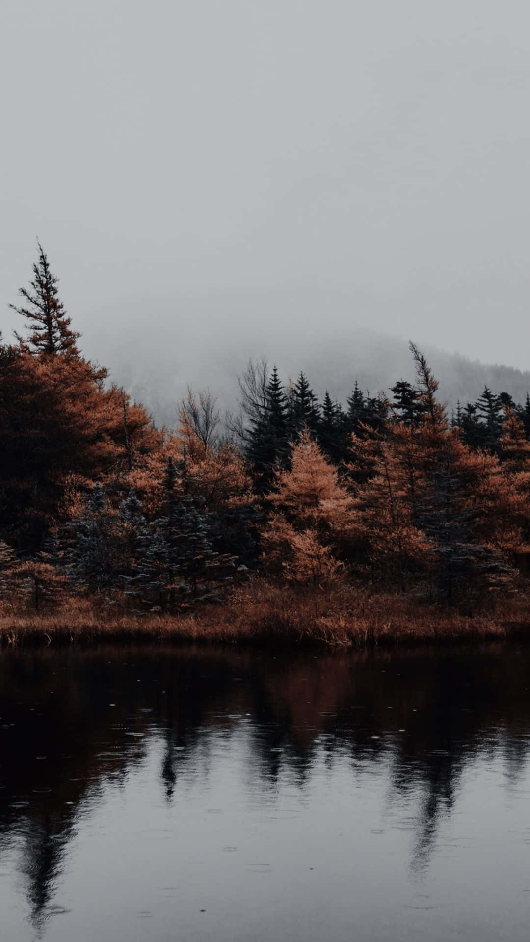 Misty Autumn Reflections.jpg Wallpaper