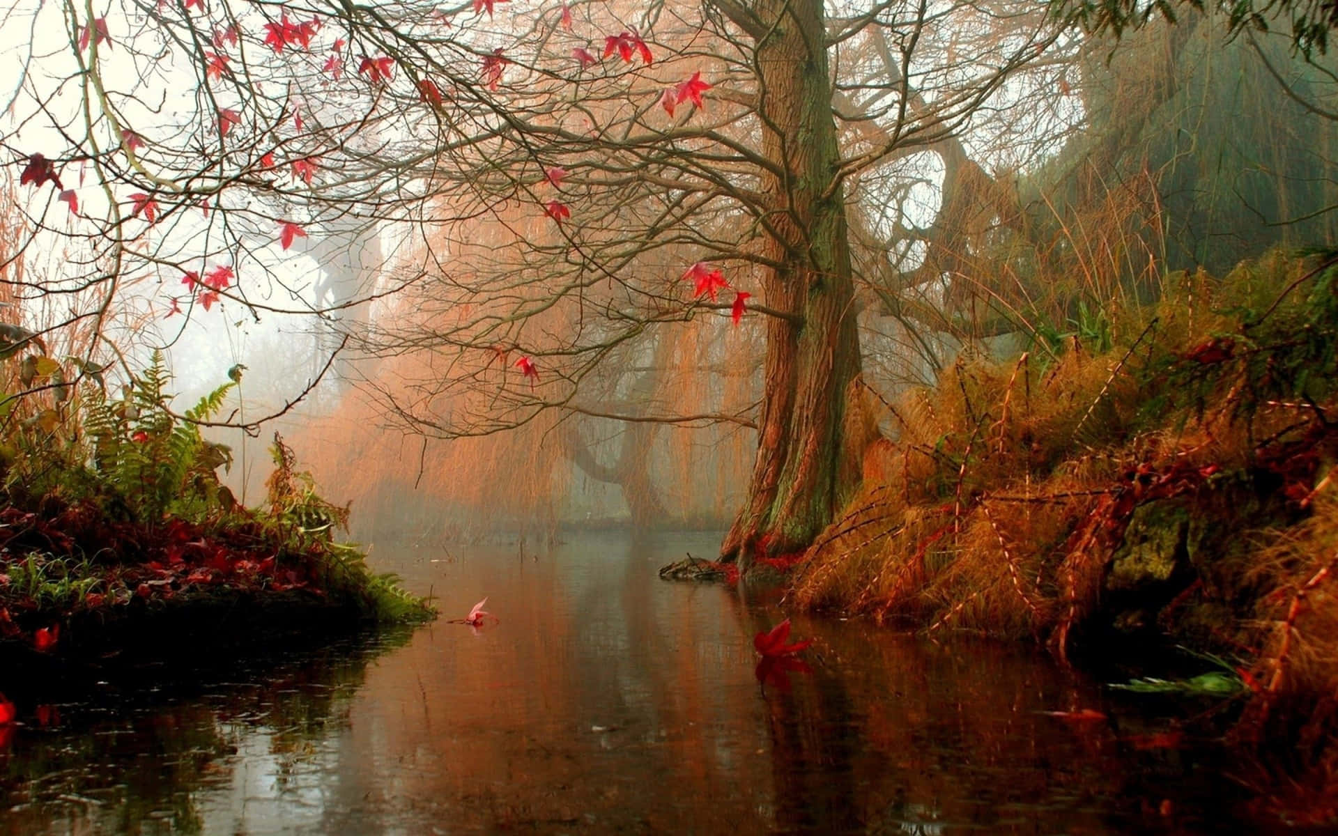 Misty Autumn River Scene Wallpaper
