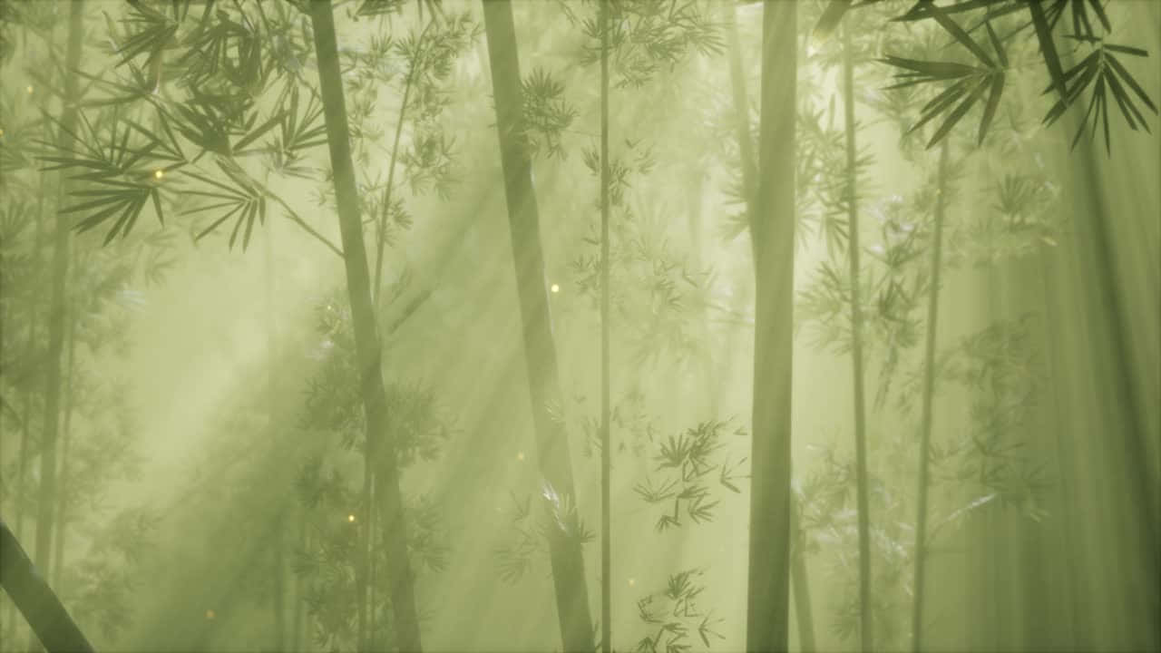 Misty_ Bamboo_ Forest_ Glow Wallpaper