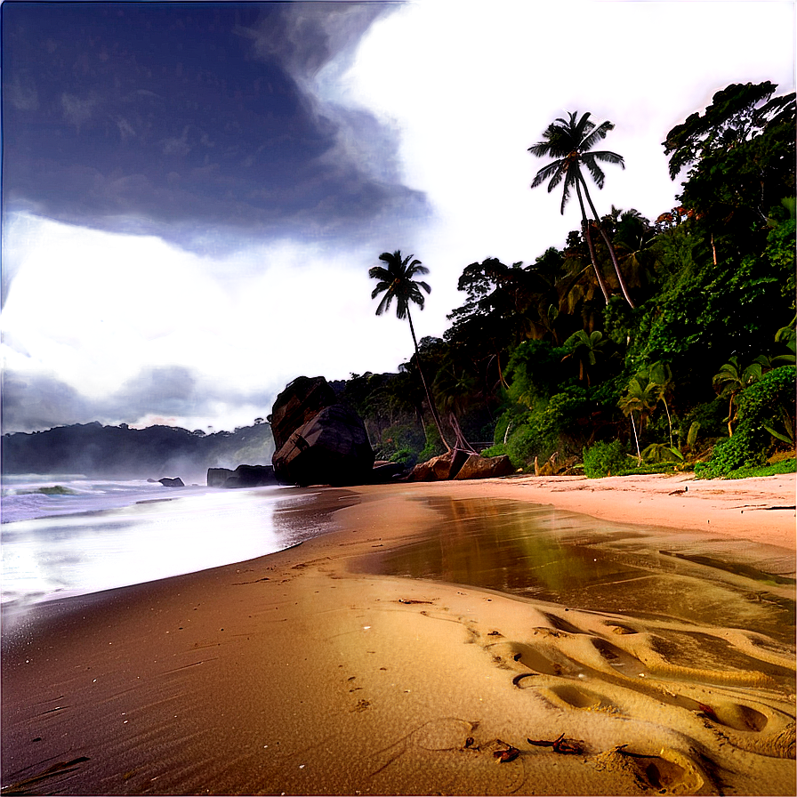 Misty Beach Morning Png 05242024 PNG