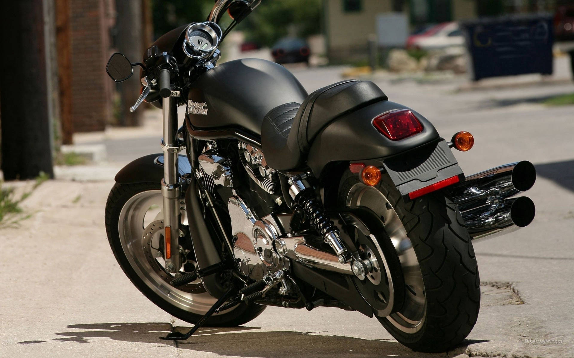 Misty Black Harley Davidson Rear View