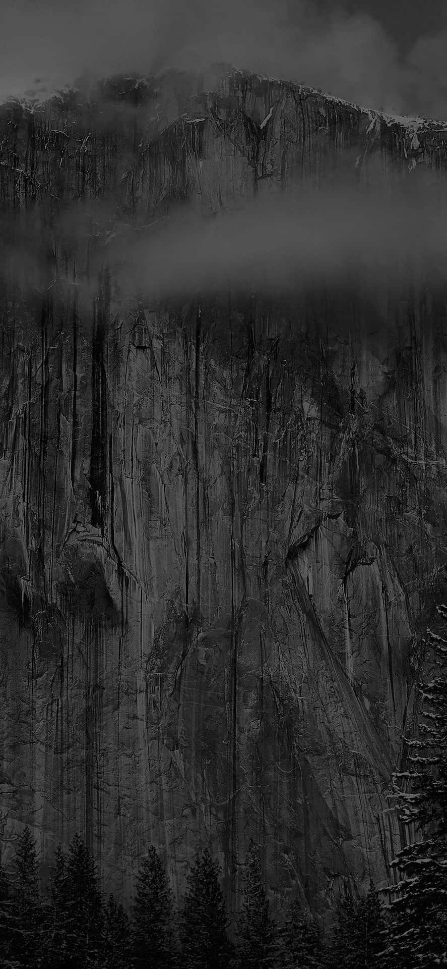 Misty_ Cliffside_ Forest_ Black_and_ White Wallpaper