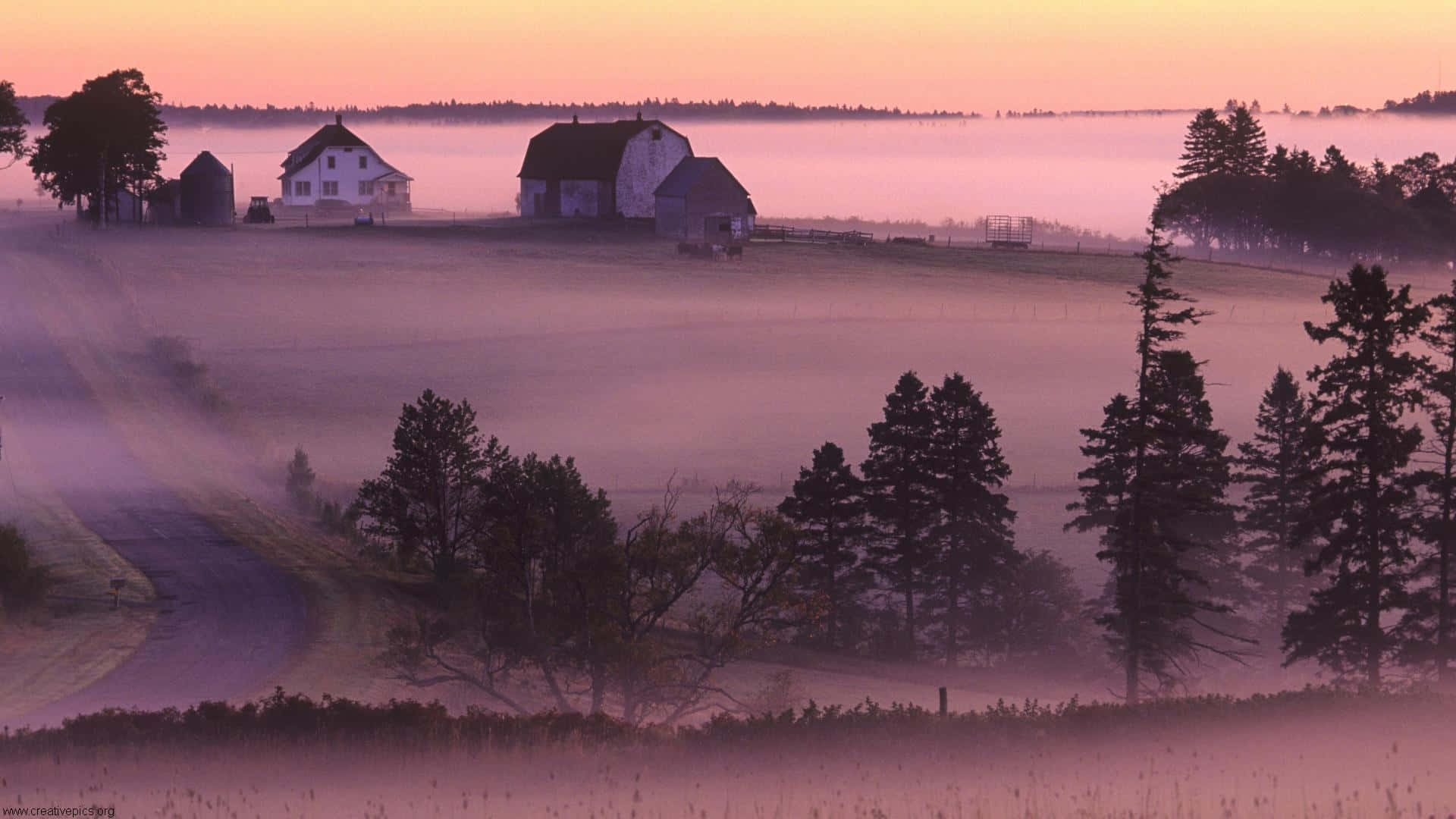 Misty Farm Morning Charlottetown Wallpaper