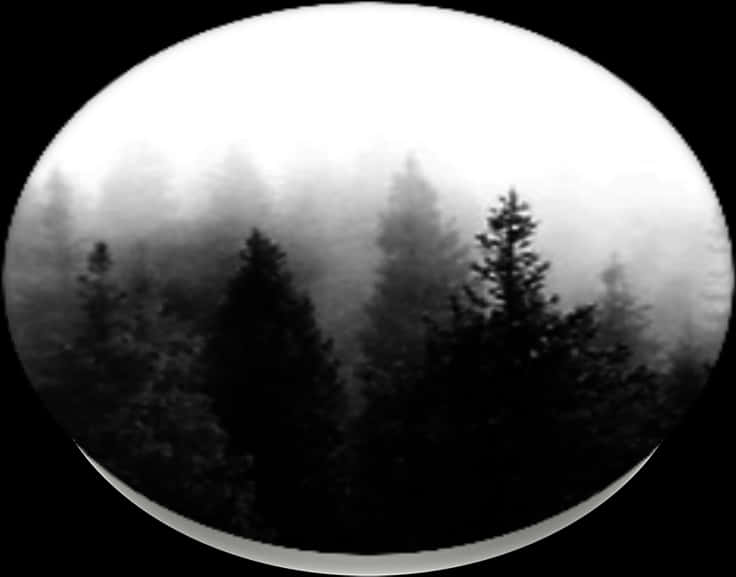 Misty Forest Circle Blackand White PNG