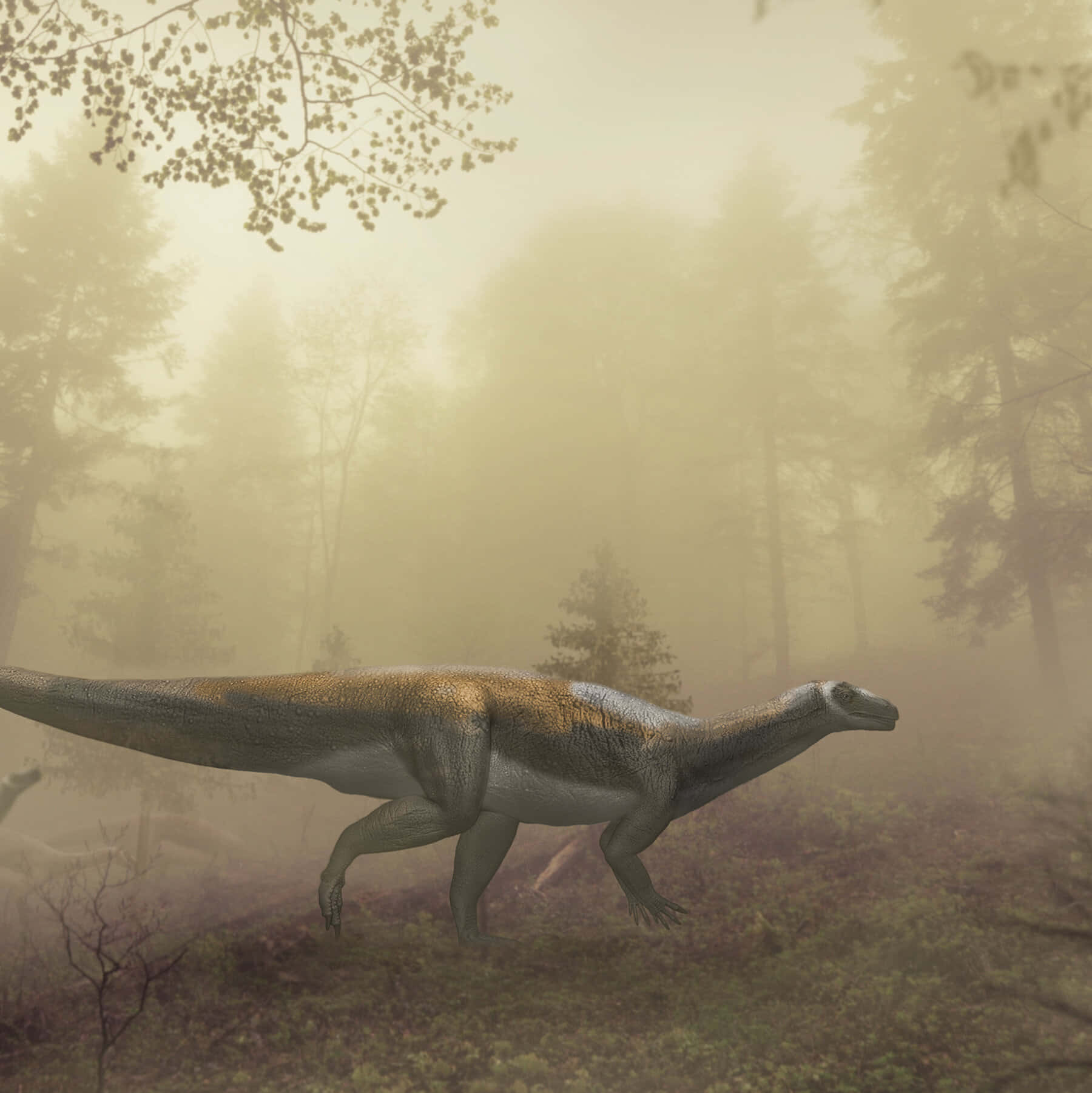 Misty_ Forest_ Dinosaur Wallpaper