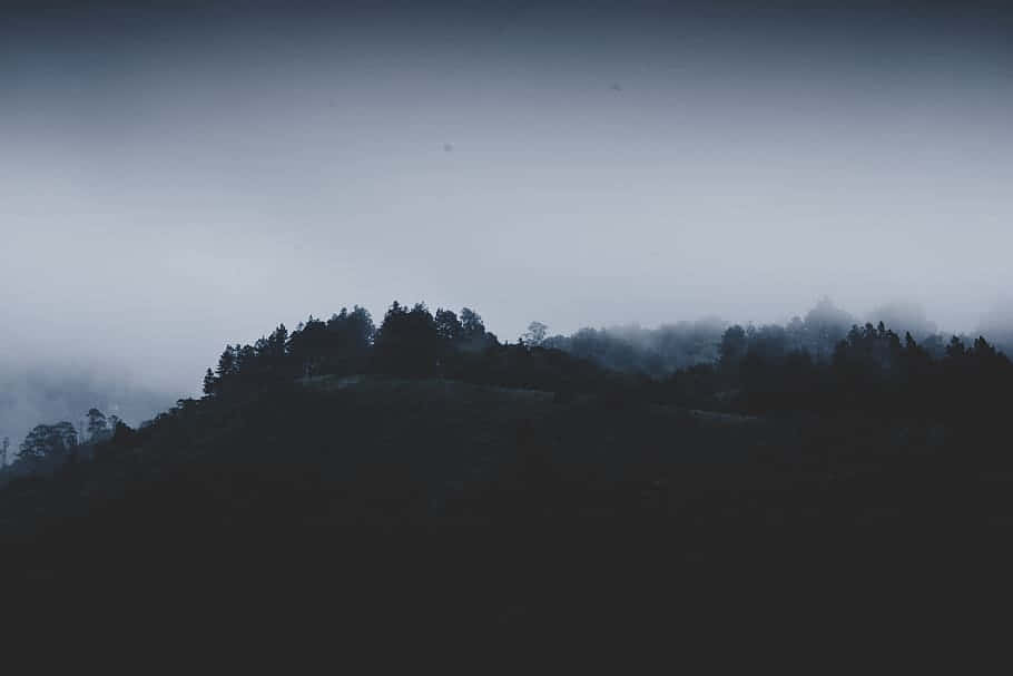 Colline De Forêt Brumeuse Ambiance Sombre.jpg Fond d'écran