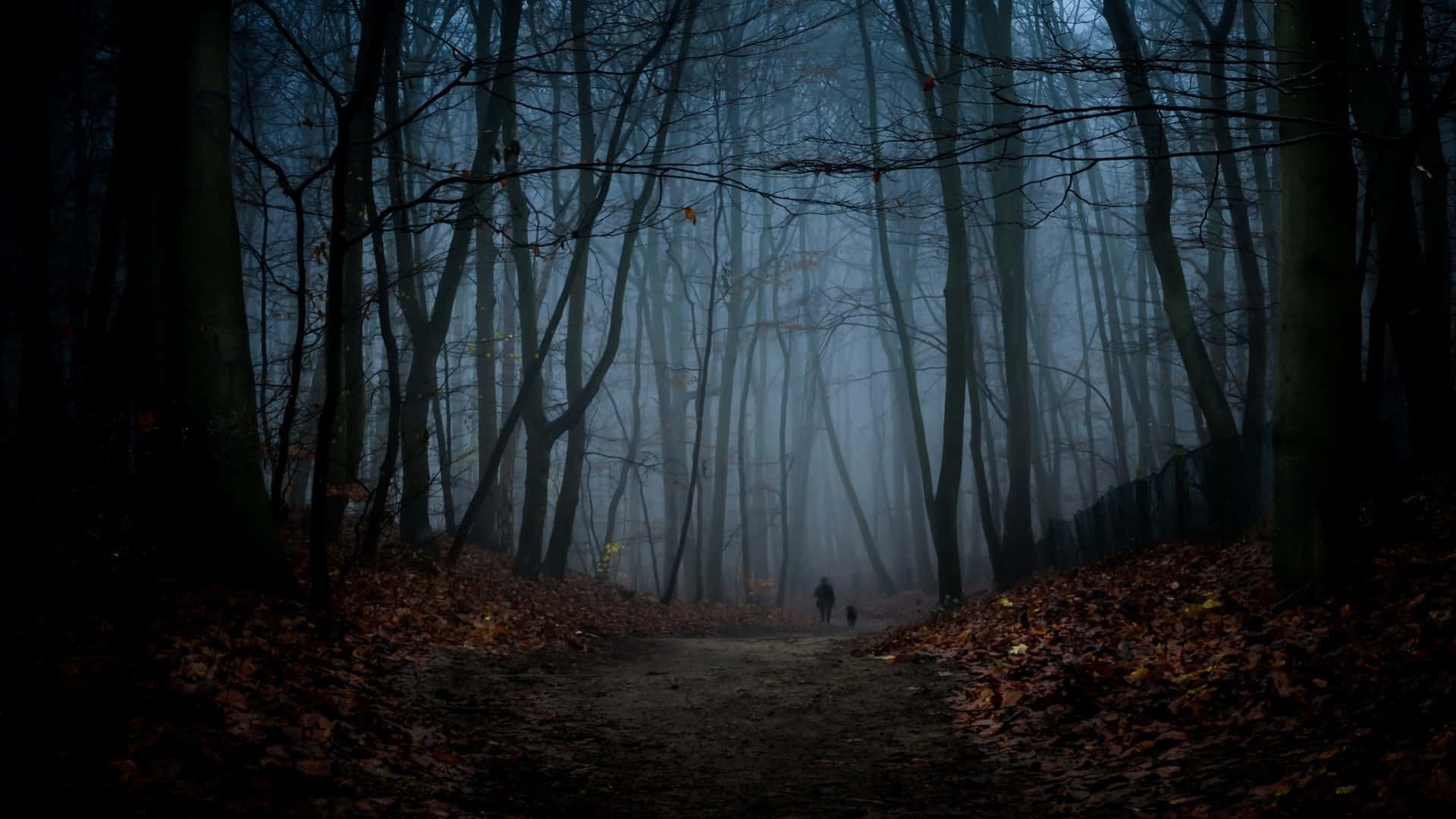 Misty_ Forest_ Path_ Dark_ Fall_ Aesthetic.jpg Wallpaper