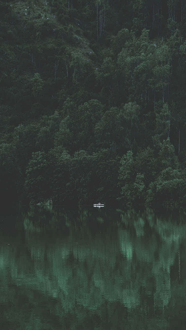 Misty_ Forest_ Reflection_ Lake Wallpaper