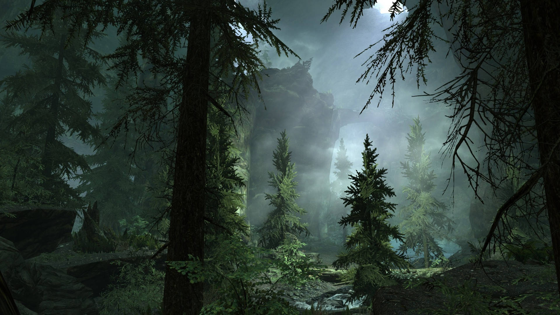 Download Misty Forest Screenshot Wallpaper 