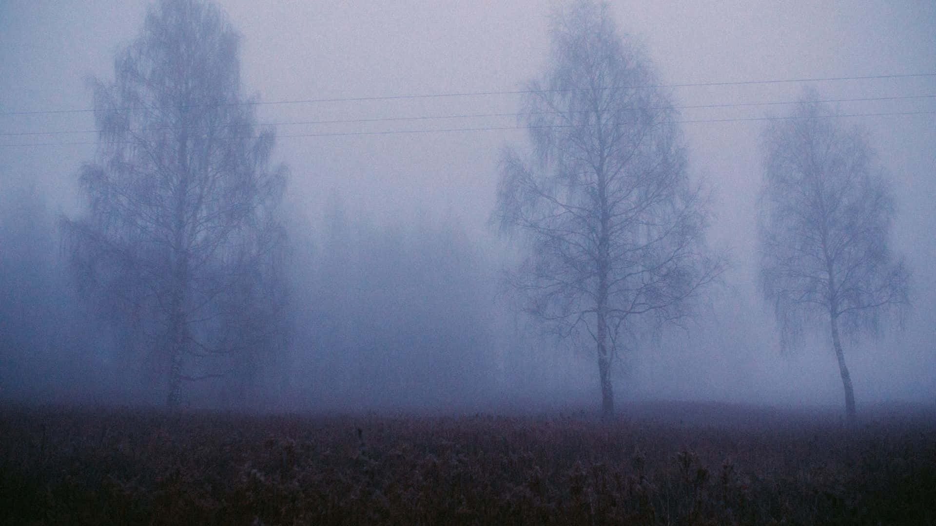 Misty Forest Silhouette_ Horror Aesthetic.jpg Wallpaper