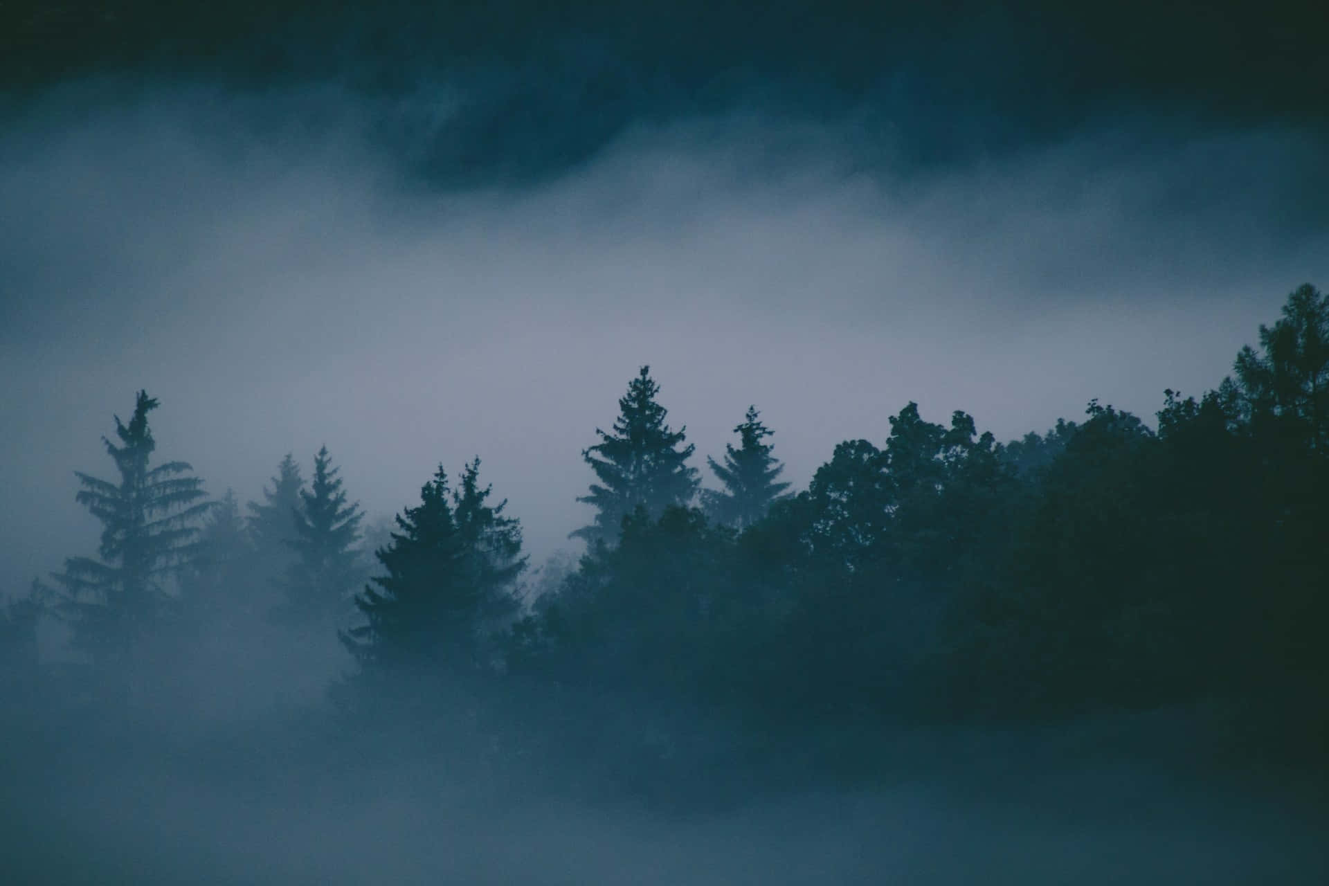 Misty_ Forest_ Silhouettes Wallpaper