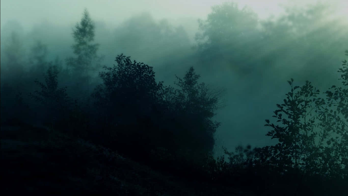 Misty Forest Sunbeams Dark Aesthetic Wallpaper