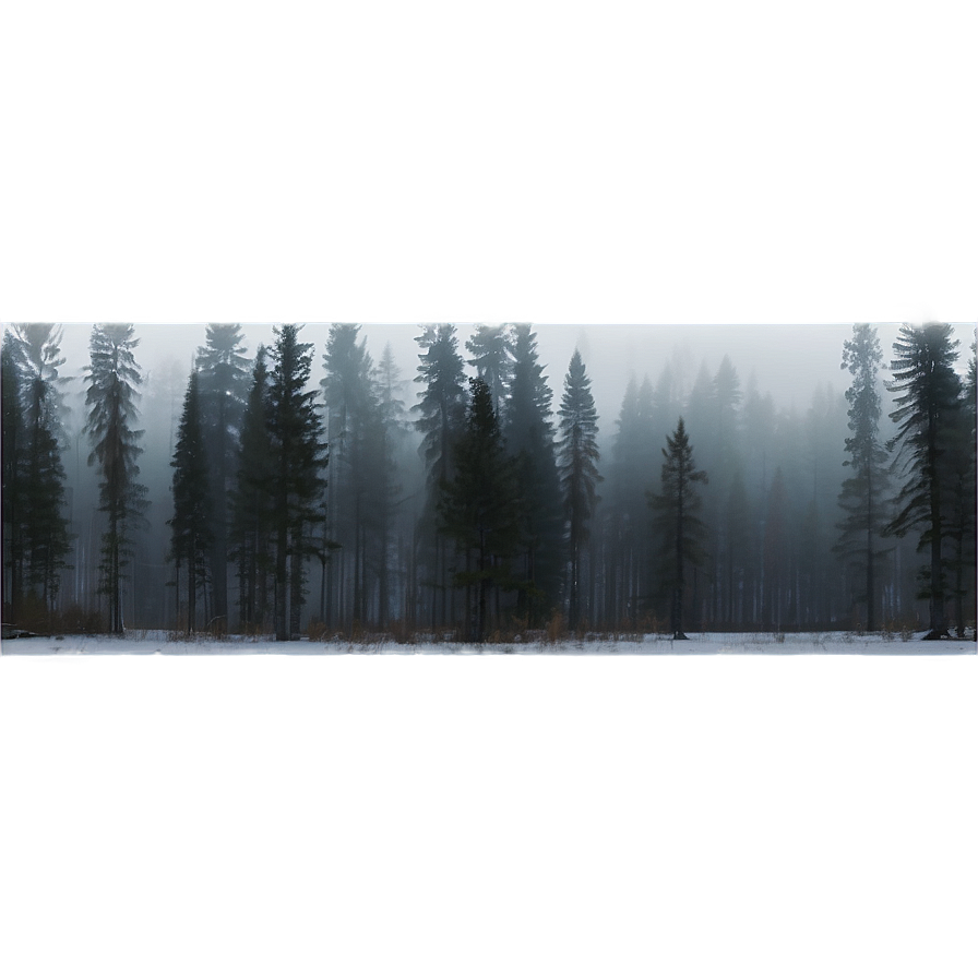 Misty Grey Forest Png 06232024 PNG