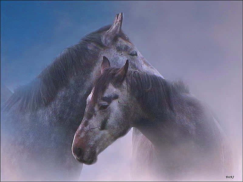Misty Horses Affection Wallpaper