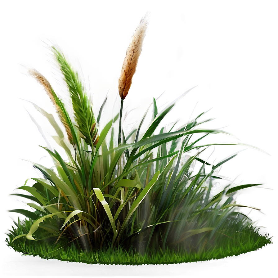 Misty Morning Grass Png 33 PNG