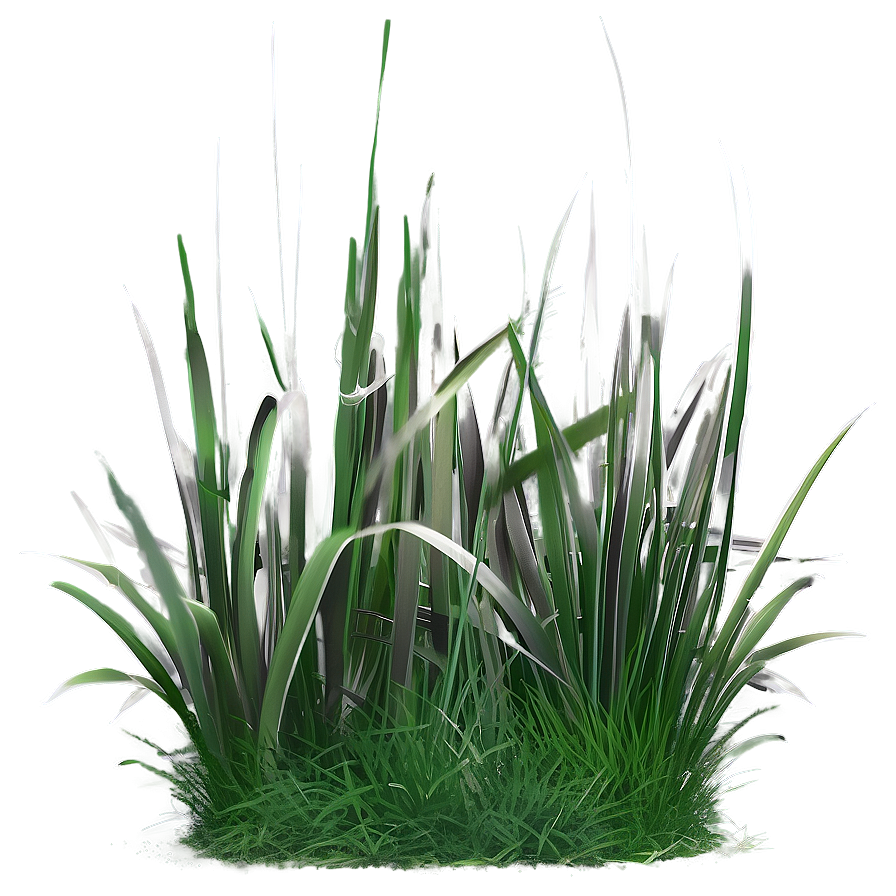 Misty Morning Grass Png 45 PNG