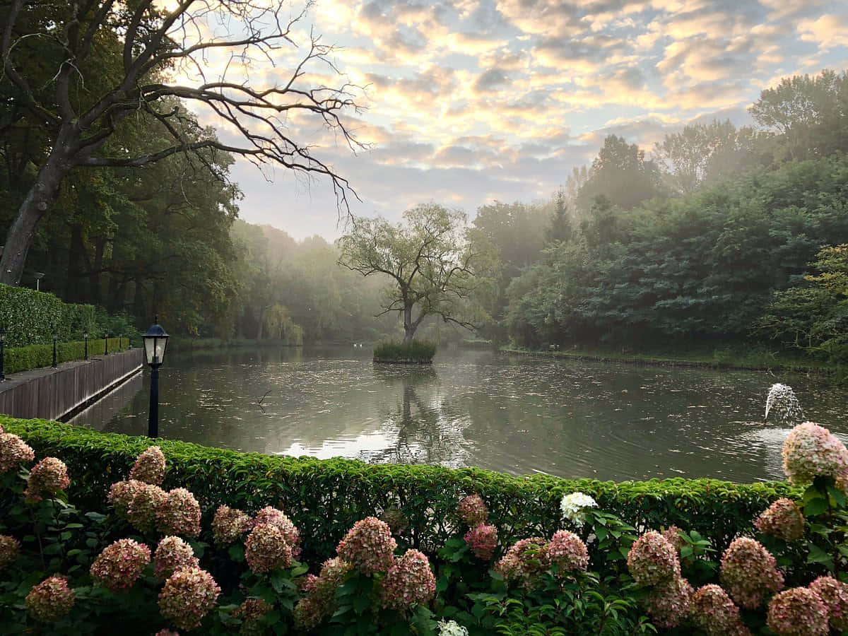 Misty Morning Lake Venlo Wallpaper