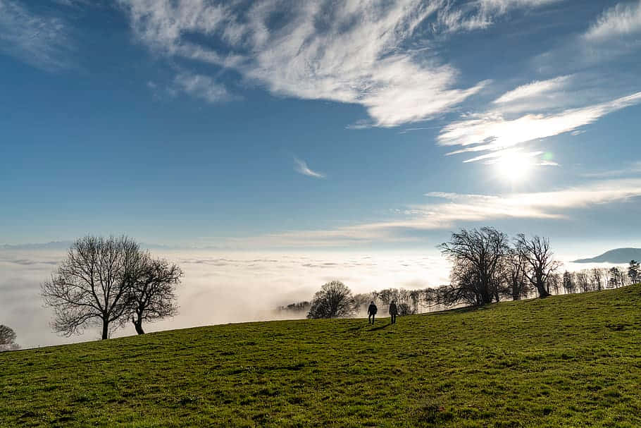 Misty Morning Walk Olten Wallpaper