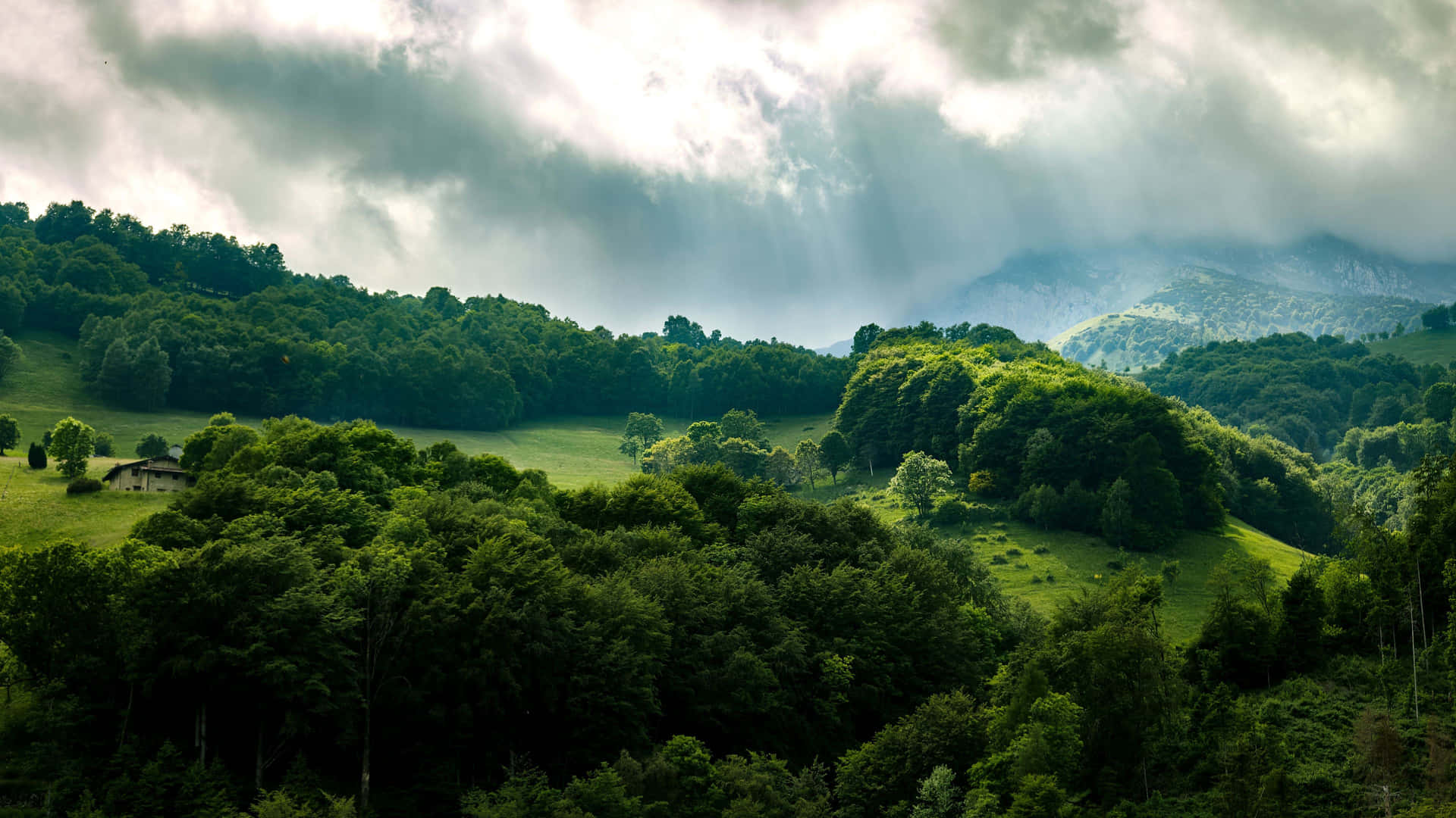 Mistige Berg Bos Zonnestralen 4k Achtergrond