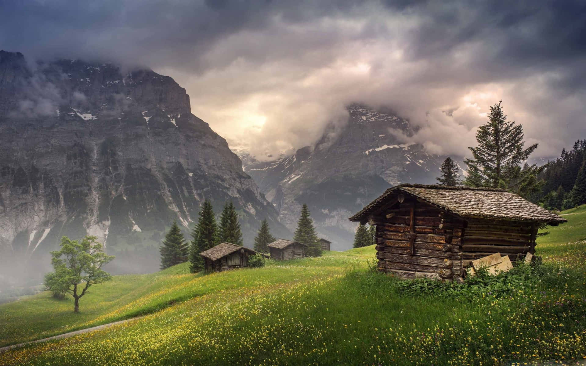 Misty_ Mountain_ Meadow_ Scene Wallpaper