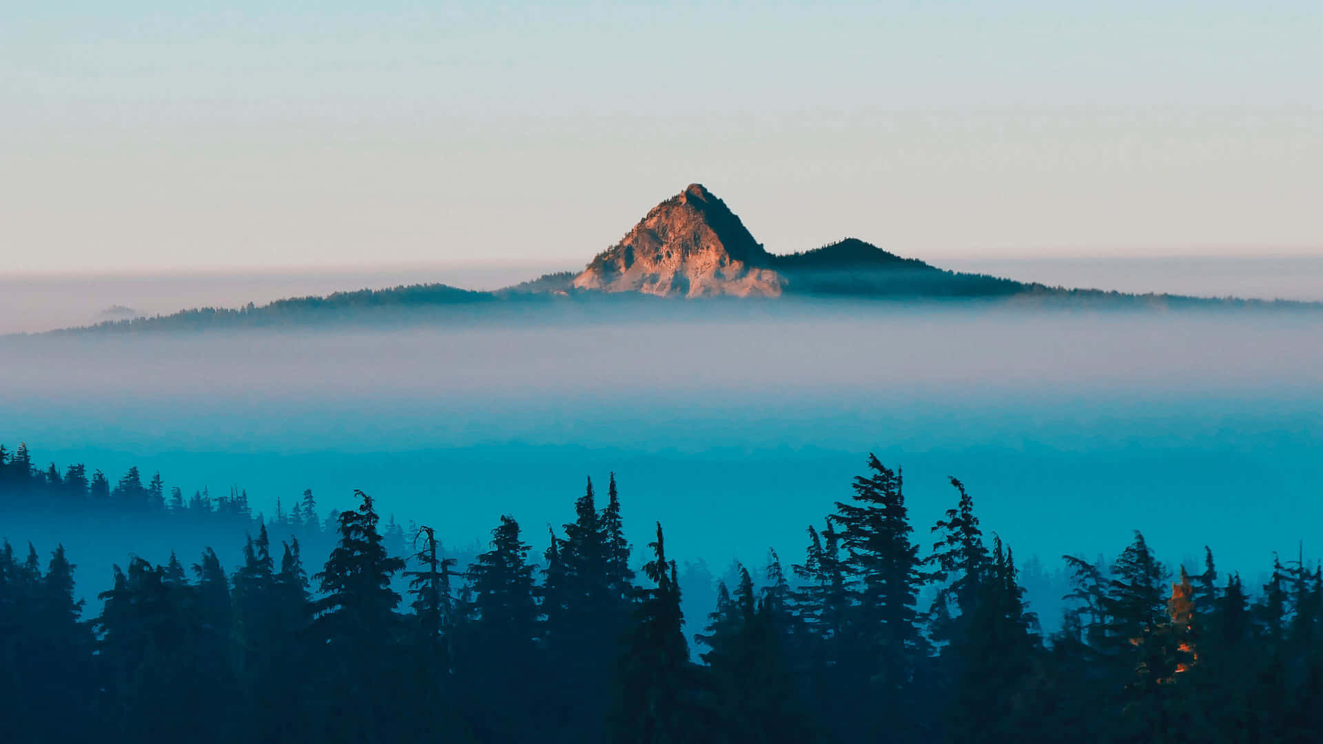 Misty_ Mountain_ Peak_ Dawn Wallpaper
