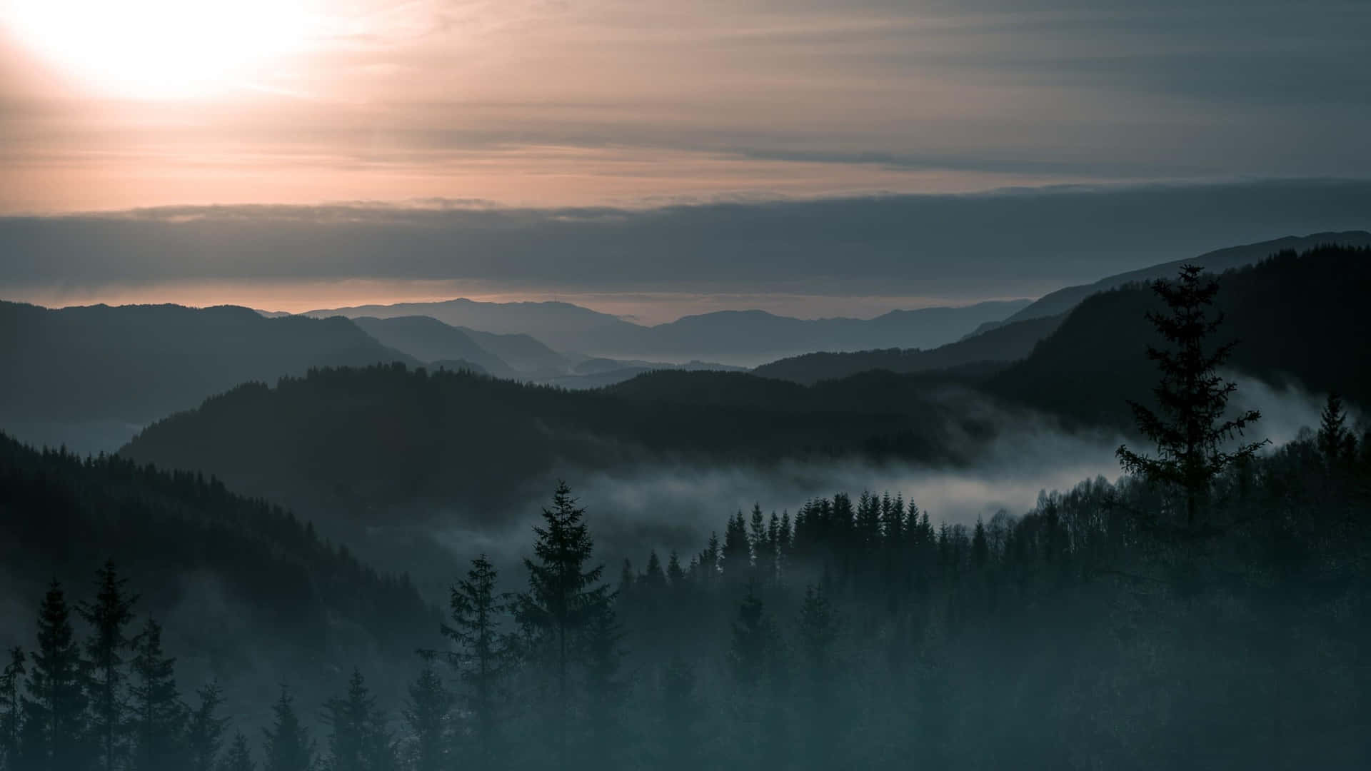 Misty Mountain Sunrise Forest Wallpaper