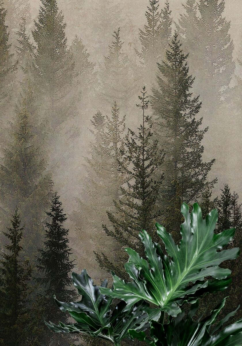 Misty_ Pine_ Forest_ Artwork Wallpaper