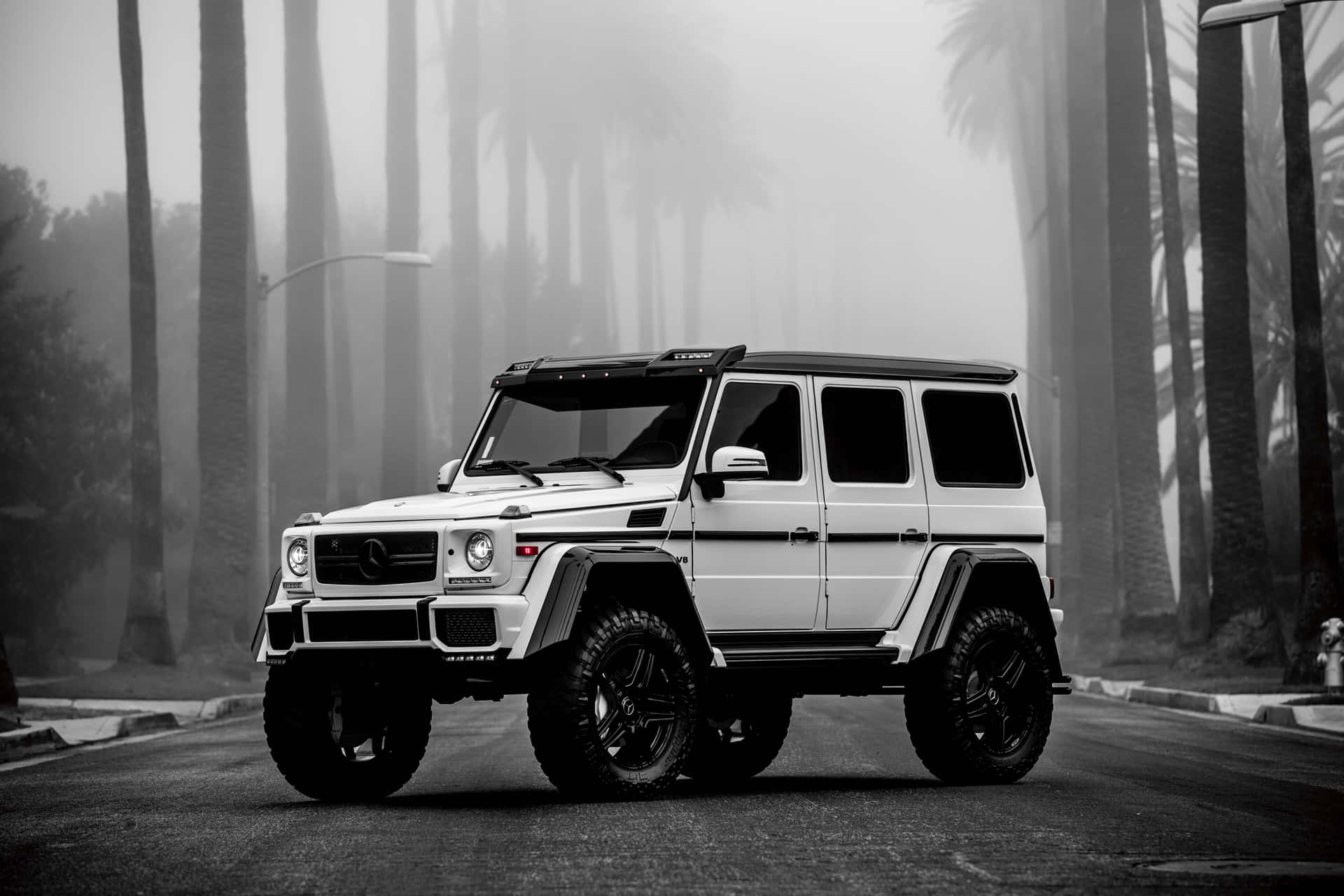 Misty Road G Wagon Showcase Wallpaper